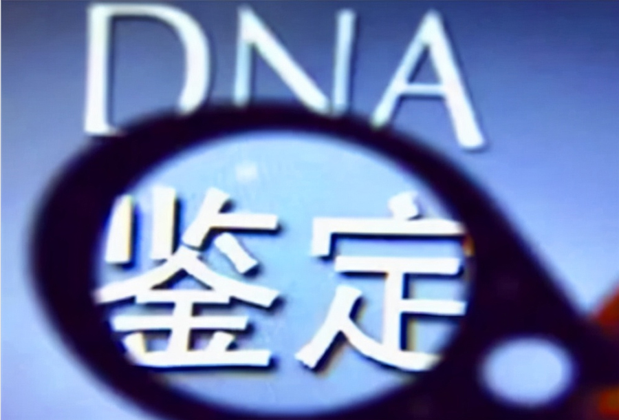 浙江省医院做亲子鉴定准不准确,