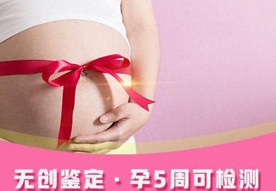 刚怀孕浙江如何办理孕期亲子鉴定,浙江办理孕期亲子鉴定结果准确吗