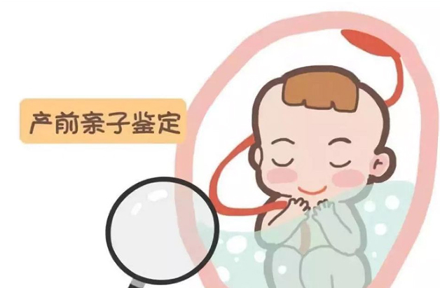 浙江省胎儿需要如何做血缘检测,浙江省无创怀孕亲子鉴定费用是多少钱