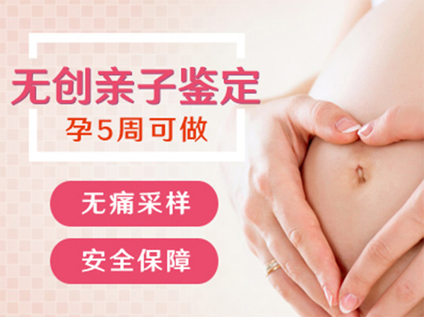 浙江省怀孕50天能办理产前亲子鉴定吗,浙江省办理无创产前亲子鉴定费用多少钱啊