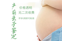 浙江产前亲子鉴定办理费用，浙江产前亲子鉴定需要怎么办理