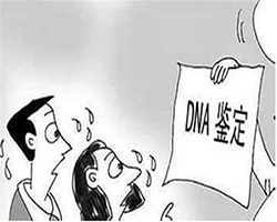 浙江个人DNA亲子鉴定机构的流程，浙江隐私亲子鉴定准确可靠吗