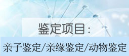 问答社区